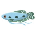 Gourami fish aquarium water animal nature and vector underwater aquatic art. Tropical illustration fish with tail and fin.