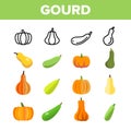 Gourd Autumn Season Harvest Vector Linear Icons Set Royalty Free Stock Photo