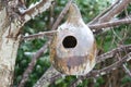 Gourd Birdhouse in ice storm Royalty Free Stock Photo