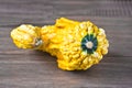Gourd Royalty Free Stock Photo