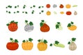 Gourd, pumpkin, squash hand drawn cartoon illustration. Autumn harvest. Decorative vegetables for halloween and