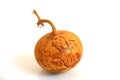 Gourd pyrographic artworks Royalty Free Stock Photo