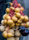 gourds