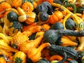 Gourds