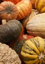 Gourds