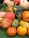Gourds Royalty Free Stock Photo