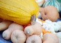 Fall Harvest Gourds