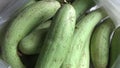 Gourds after being harvested