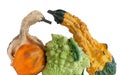 Gourds with bumps or warts in conversation with colorful companions and romanesco vegetable. Isolated personification of gourds. Royalty Free Stock Photo
