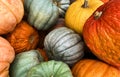 Gourds harvest mix, Fall Festival, Fall Holidays