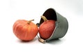 Gourds Hokkaido squash with decorative bucket. Royalty Free Stock Photo