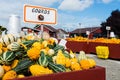 Gourds and Pumpkins at Farm Market Royalty Free Stock Photo