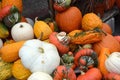 Gourds and Pumpkins Royalty Free Stock Photo