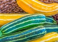 Gourds for Sale Royalty Free Stock Photo