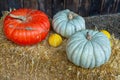 Gourds and Squash on a hay bale in autumn Royalty Free Stock Photo