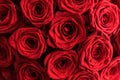 Gourgeous luxury bouquet of red roses, flowers in bloom as floral holiday background