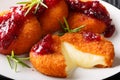 Gourmet appetizer Camembert in breading served with cranberry sauce and rosemary close-up on a plate. horizontal Royalty Free Stock Photo