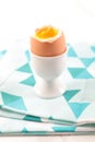 Gourmet boiled egg in cup