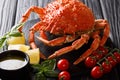 Gourmet boiled whole spider crab with lemon, tomatoes, bisillic