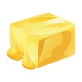 Gourmet cheddar cheese slice, nature delicatessen icon