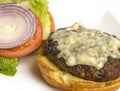 Gourmet cheese burger Royalty Free Stock Photo