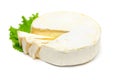 Gourmet cheese camembert