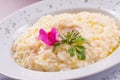 Gourmet Cheese Risotto