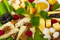 Gourmet Cheeseplate Royalty Free Stock Photo