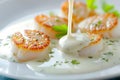 Gourmet chef cooking grilled scallops in creamy lemon butter or spicy cajun sauce with herbs