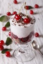 Gourmet cherry dessert in a glass close-up on the table. vertical Royalty Free Stock Photo