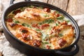 Gourmet chicken with sun-dried tomatoes and spinach in cheese sauce close-up in a pan. horizontal Royalty Free Stock Photo