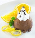 Gourmet chocolate icecream dessert