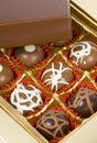 Gourmet Chocolates Royalty Free Stock Photo