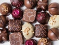 Gourmet Chocolates Royalty Free Stock Photo