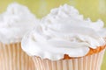 Gourmet cupcake Royalty Free Stock Photo