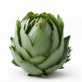 Gourmet Delights Iconic Artichoke Varieties for Food Enthusiasts