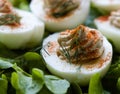 Gourmet deviled eggs Royalty Free Stock Photo