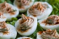 Gourmet deviled eggs Royalty Free Stock Photo