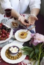 A gourmet dinner for two: grilled camambert, red wine and various appetizers Royalty Free Stock Photo