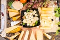 Gourmet display of different cheese Royalty Free Stock Photo