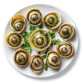 Gourmet Escargot Shells with Fresh Herb Butter Royalty Free Stock Photo