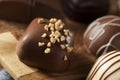 Gourmet Fancy Dark Chocolate Truffle Candy Royalty Free Stock Photo