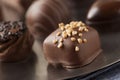 Gourmet Fancy Dark Chocolate Truffle Candy Royalty Free Stock Photo