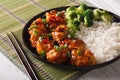 Gourmet Food: chickenTso's with rice, onions and broccoli close- Royalty Free Stock Photo