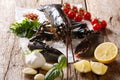 Gourmet food: raw lobster seafood with ingredients for cooking c