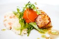 Gourmet food scallops Royalty Free Stock Photo