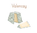 Gourmet French Valencay cheese with blue moldy rind. Cut piece of delicious soft chees with mold. Colored flat vector