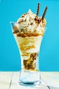 Gourmet fresh mixed nut sundae with whipped cream Royalty Free Stock Photo