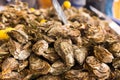 Gourmet fresh slipper oysters for sale