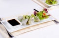 Gourmet Fresh Spring Rolls with Soy Sauce Royalty Free Stock Photo